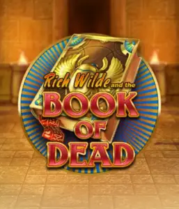 Погрузитесь в захватывающий мир Book of Dead от Play'n GO, представляющий яркую графику путешествия Рича Уайлда по древнеегипетским гробницам и артефактам. Откройте затерянные богатства с пленяющими механиками, такими как бесплатные вращения, расширяющиеся иконки и возможность игры на риск. Идеально для любителей приключений, желающих волнующих находок.